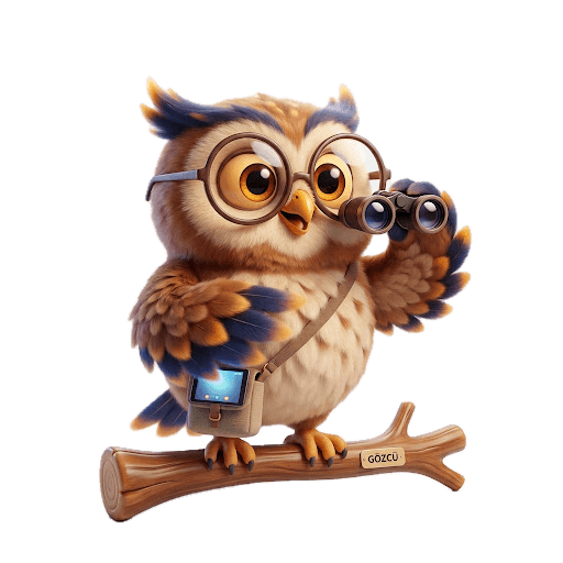 Gözcü 3D Baykuş Maskot